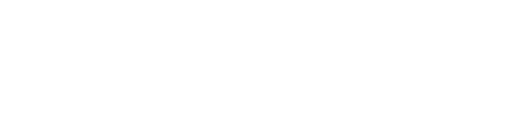 Pebble Logo White